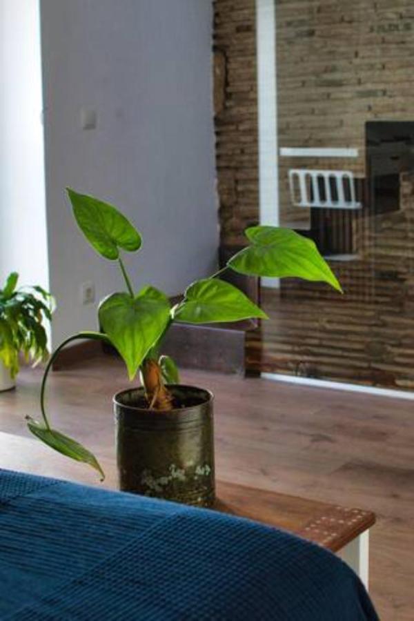 Casa Particular Mediterranea En El Centrico Casco Antiguo A Un Paso Del Mar Denia Εξωτερικό φωτογραφία